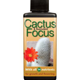 Cactus & Succulent Focus