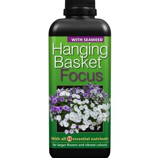 Hanging Basket Focus