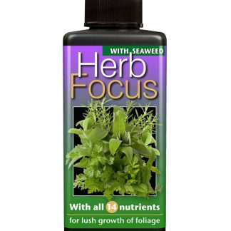 Herb Focus