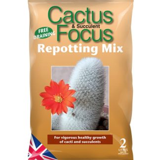 Cactus Repotting Mix