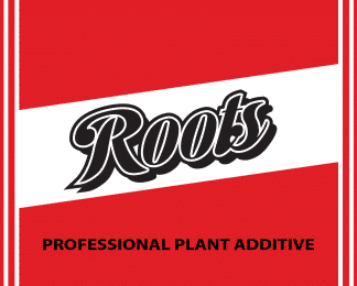 Elite91 - Roots