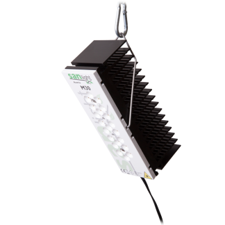 SANlight M30