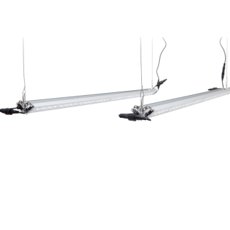SANlight Flex 10 / S1