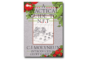 A Practical guide to N.F.T