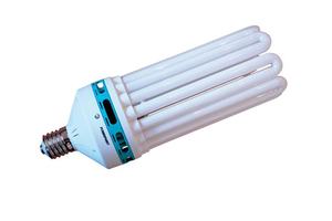 CFL Lamp 6400 - Blue 200w
