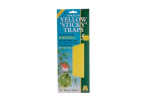 Yellow Sticky Traps x 5