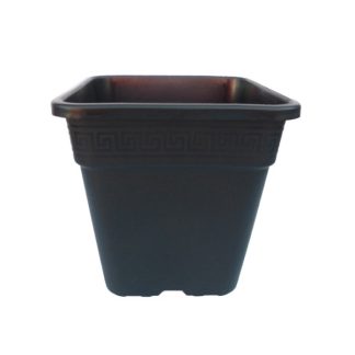 Square Pot 3.5L 15cm
